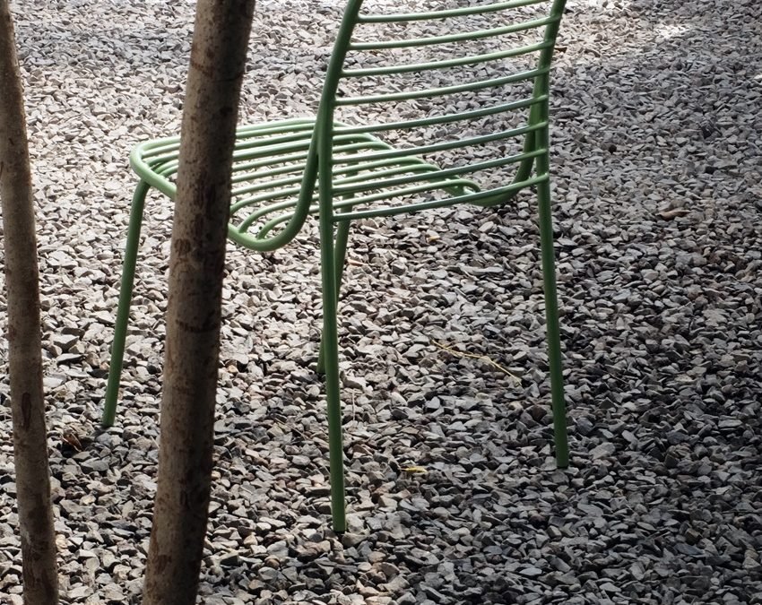Vine